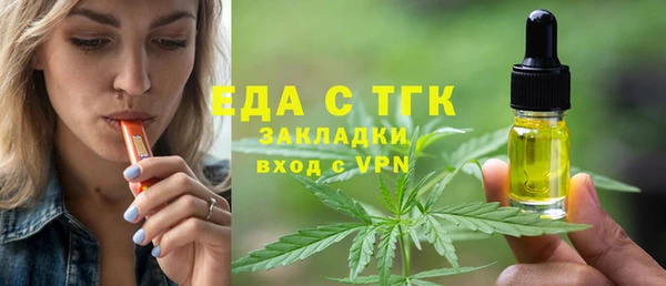 первитин Гусев