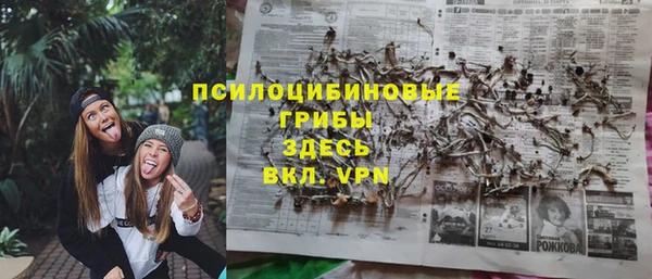 первитин Гусев