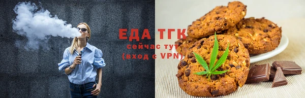 первитин Гусев