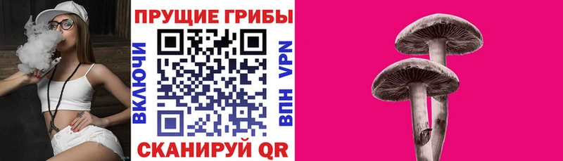 Галлюциногенные грибы мицелий  Данков 